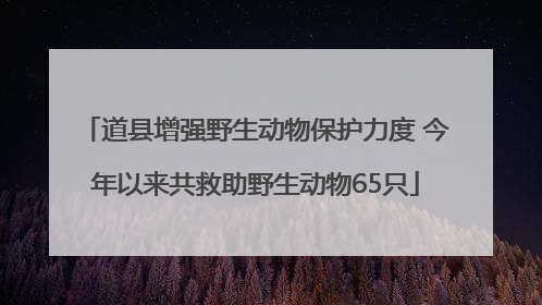 道县增强野生动物保护力度 今年以来共救助野生动物65只