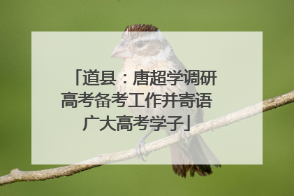 道县：唐超学调研高考备考工作并寄语广大高考学子