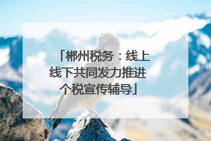 郴州税务：线上线下共同发力推进个税宣传辅导