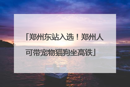 郑州东站入选！郑州人可带宠物猫狗坐高铁