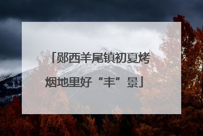 郧西羊尾镇初夏烤烟地里好“丰”景