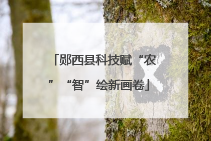 郧西县科技赋“农”“智”绘新画卷