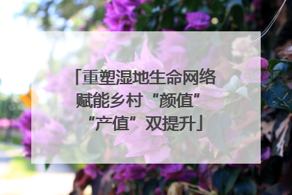 重塑湿地生命网络 赋能乡村“颜值”“产值”双提升