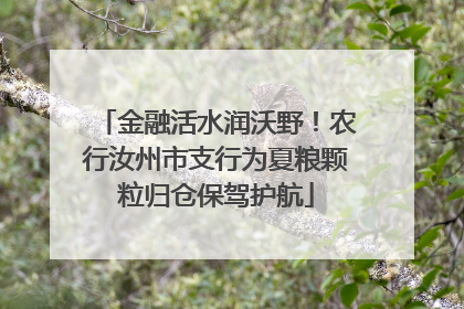金融活水润沃野！农行汝州市支行为夏粮颗粒归仓保驾护航