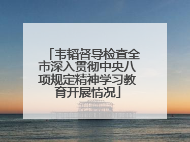 韦韬督导检查全市深入贯彻中央八项规定精神学习教育开展情况