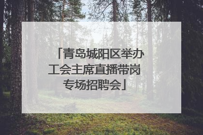 青岛城阳区举办工会主席直播带岗专场招聘会
