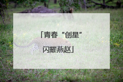 青春“创星” 闪耀燕赵
