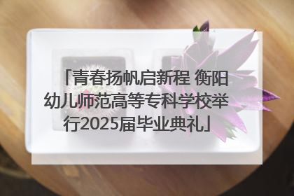 青春扬帆启新程 衡阳幼儿师范高等专科学校举行2025届毕业典礼