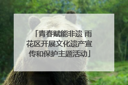 青春赋能非遗 雨花区开展文化遗产宣传和保护主题活动