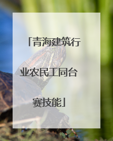 青海建筑行业农民工同台赛技能