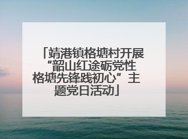 靖港镇格塘村开展“韶山红途砺党性 格塘先锋践初心”主题党日活动