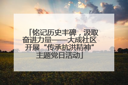 铭记历史丰碑，汲取奋进力量——大成社区开展“传承抗洪精神”主题党日活动