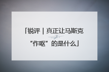 锐评｜真正让马斯克“作呕”的是什么