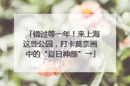 错过等一年！来上海这些公园，打卡莫奈画中的“夏日神颜”→