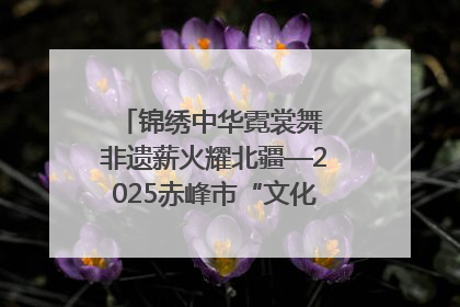 锦绣中华霓裳舞 非遗薪火耀北疆—2025赤峰市“文化和自然遗产日”非遗宣传展示活动纪实