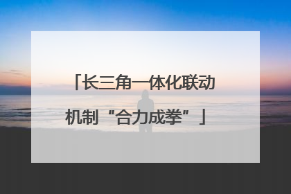 长三角一体化联动机制“合力成拳”