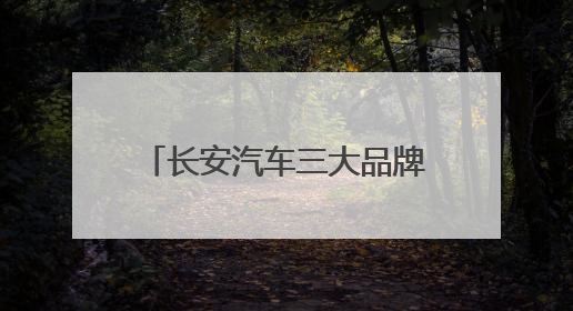 长安汽车三大品牌闪耀夜空，11787架无人机献礼重庆直辖28周年