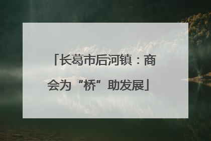 长葛市后河镇：商会为“桥”助发展