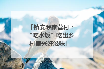 镇安罗家营村：“吃水饭”吃出乡村振兴好滋味