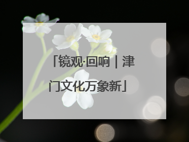 镜观·回响｜津门文化万象新