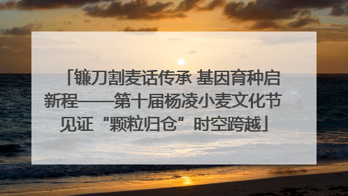 镰刀割麦话传承 基因育种启新程——第十届杨凌小麦文化节见证“颗粒归仓”时空跨越