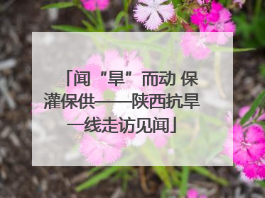 闻“旱”而动 保灌保供——陕西抗旱一线走访见闻