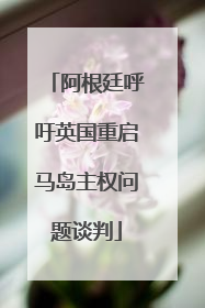 阿根廷呼吁英国重启马岛主权问题谈判