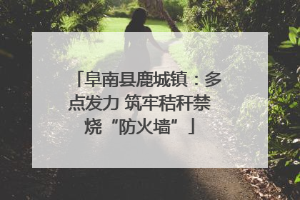 阜南县鹿城镇：多点发力 筑牢秸秆禁烧“防火墙”