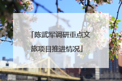 陈武军调研重点文旅项目推进情况