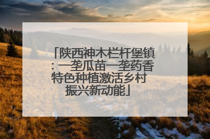 陕西神木栏杆堡镇：一垄瓜苗一垄药香 特色种植激活乡村振兴新动能