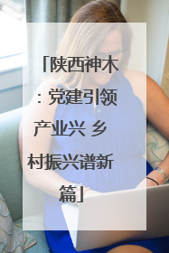 陕西神木：党建引领产业兴 乡村振兴谱新篇