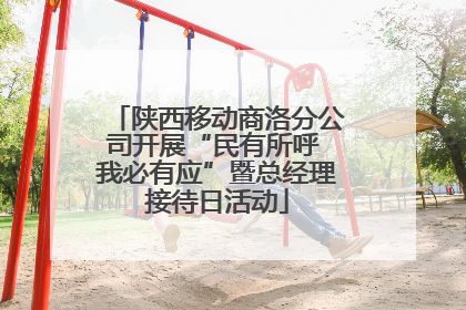 陕西移动商洛分公司开展“民有所呼 我必有应”暨总经理接待日活动