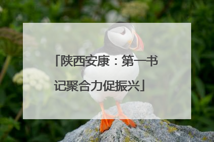 陕西安康：第一书记聚合力促振兴