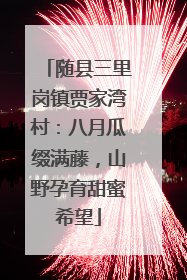 随县三里岗镇贾家湾村：八月瓜缀满藤，山野孕育甜蜜希望