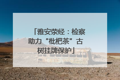 雅安荥经：检察助力“枇杷茶”古树挂牌保护