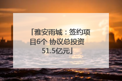 雅安雨城：签约项目6个 协议总投资51.5亿元