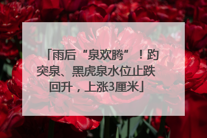雨后“泉欢腾”！趵突泉、黑虎泉水位止跌回升，上涨3厘米