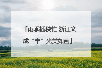 雨季插秧忙 浙江文成“丰”光美如画