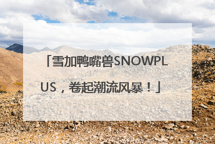 雪加鸭嘴兽SNOWPLUS，卷起潮流风暴！