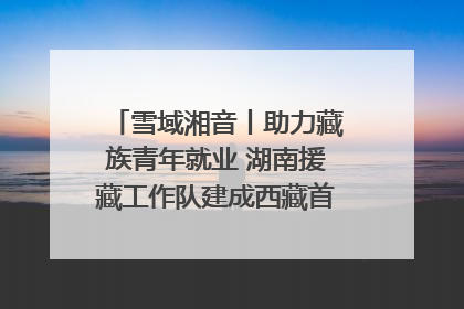 雪域湘音丨助力藏族青年就业 湖南援藏工作队建成西藏首个清洁能源装备园
