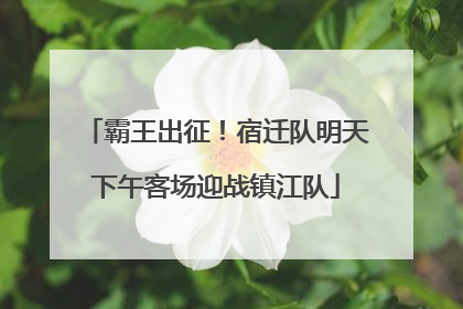霸王出征！宿迁队明天下午客场迎战镇江队