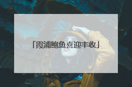 霞浦鲍鱼喜迎丰收