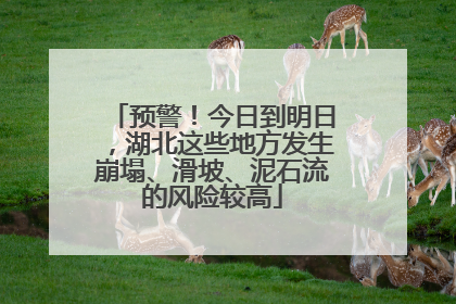 预警！今日到明日，湖北这些地方发生崩塌、滑坡、泥石流的风险较高