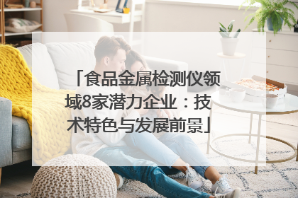食品金属检测仪领域8家潜力企业:技术特色与发展前景