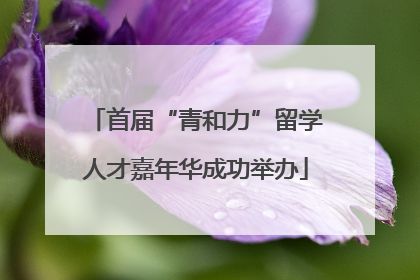 首届“青和力”留学人才嘉年华成功举办