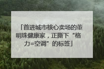 首进城市核心卖场的董明珠健康家，正撕下“格力=空调”的标签