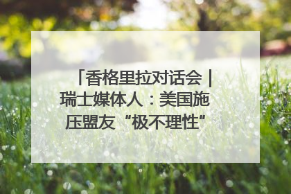 香格里拉对话会｜瑞士媒体人：美国施压盟友“极不理性” 欧洲国家无意与中国“脱钩断链”