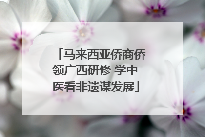 马来西亚侨商侨领广西研修 学中医看非遗谋发展