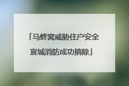 马蜂窝威胁住户安全 宣城消防成功摘除