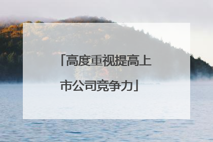 高度重视提高上市公司竞争力